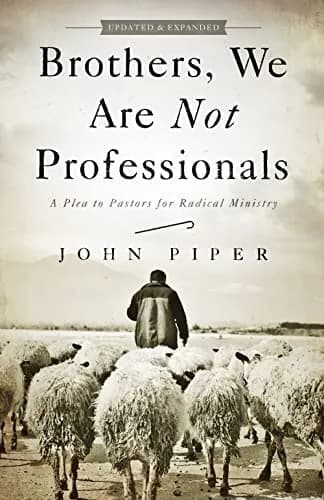 Brothers, We Are Not Professionals: A Plea to Pastors for Radical Ministry (Updated and Expanded) by John Piper