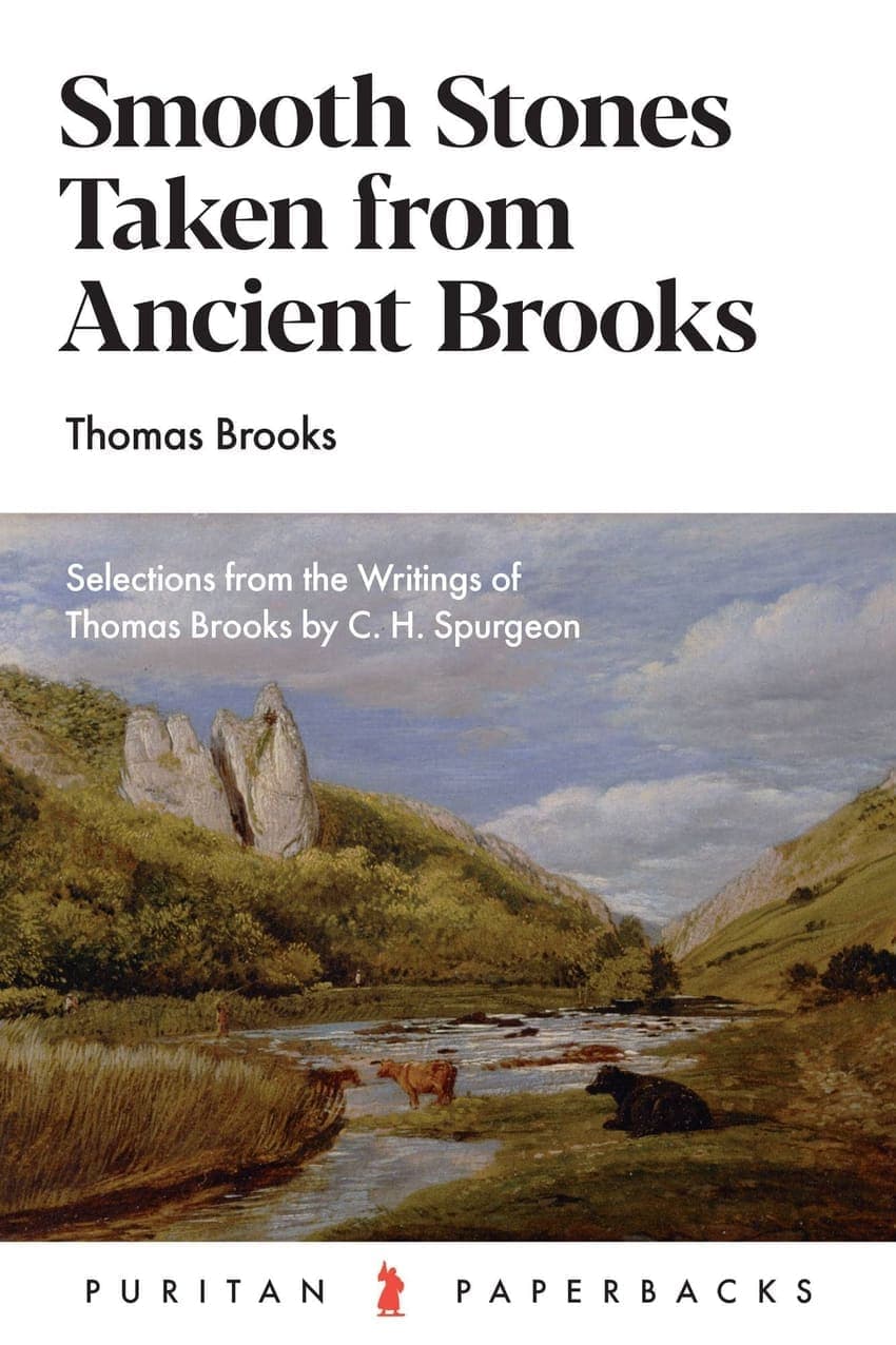Smooth Stones Taken from Ancient Brooks