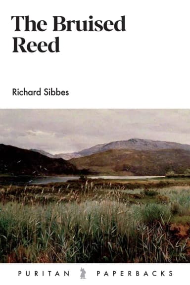 The Bruised Reed cover